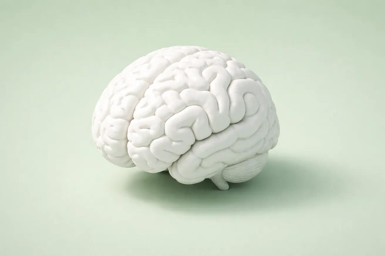 The neuroscience of habit formation and the habit loop explained